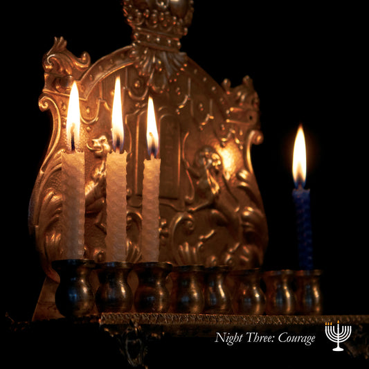 Night Three: Courage